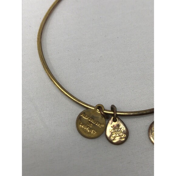 Alex and Ani Charity by Design Grasshopper Charm Bangle Bracelet - Picture 2 of 6